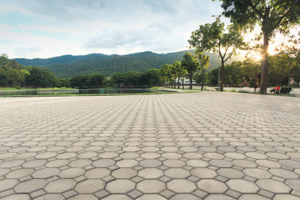 Best Local Driveway Pavers  in Palm Beach, FL